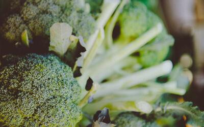 “Broccoli: a life saver” says Dr Chatterjee